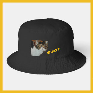 Grouchy Exotic Shorthair “WHAT?” Judgy Cat Bucket Hat