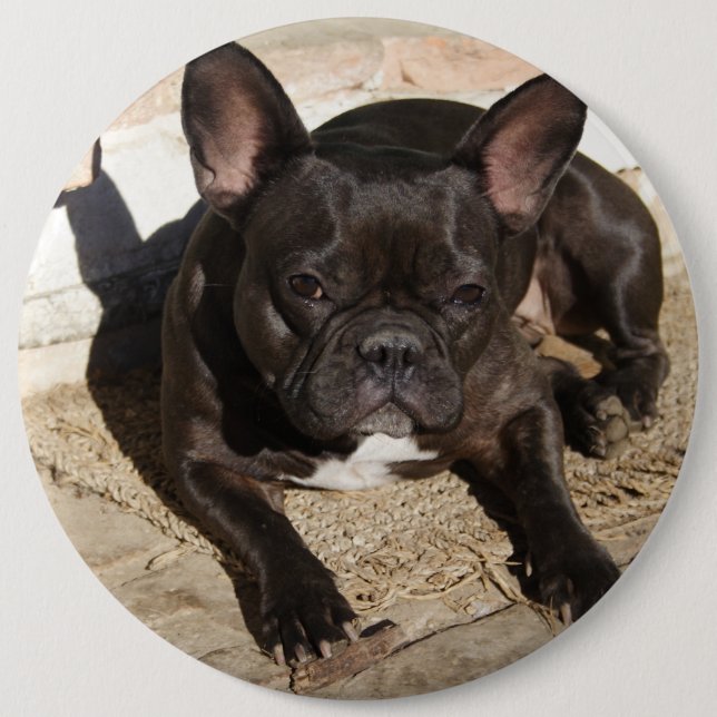 Grouchy French Bulldog Button (Front)