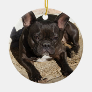 Grouchy French Bulldog Ceramic Ornament