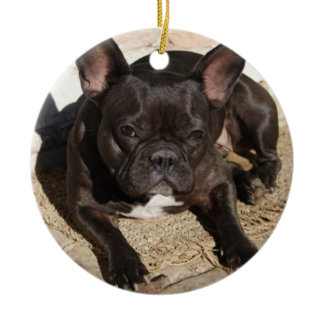 Grouchy French Bulldog Ceramic Ornament