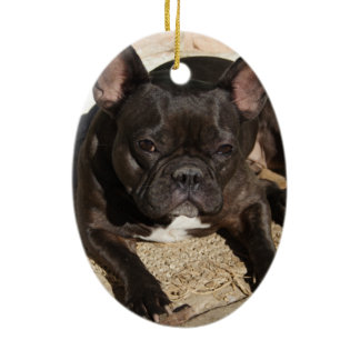 Grouchy French Bulldog Ceramic Ornament