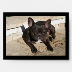 Grouchy French Bulldog Envelope