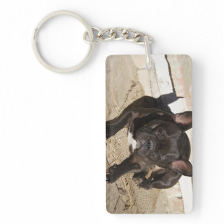 Grouchy French Bulldog Keychain