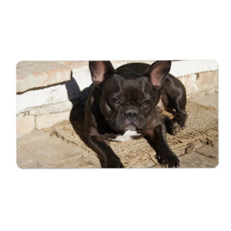 Grouchy French Bulldog Label