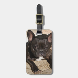 Grouchy French Bulldog Luggage Tag