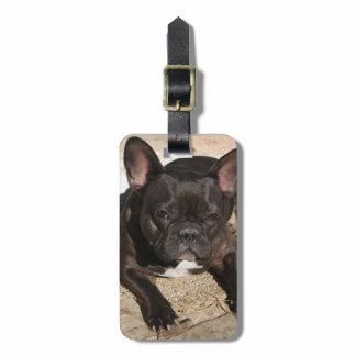 Grouchy French Bulldog Luggage Tag