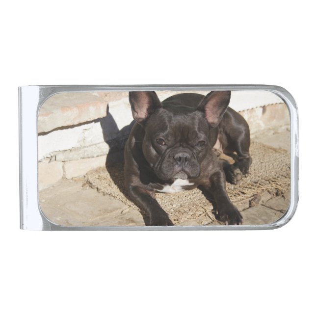 Grouchy French Bulldog Silver Finish Money Clip (Front)