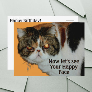 Grouchy Grumpy Cat Exotic Short-hair Persian Postcard