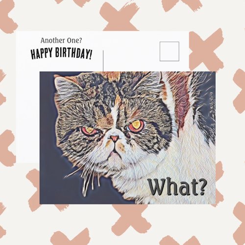 Grouchy Grumpy Cat Funny Birthday
