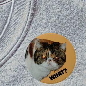 Grouchy Grumpy Cat What? Funny Photographic Button