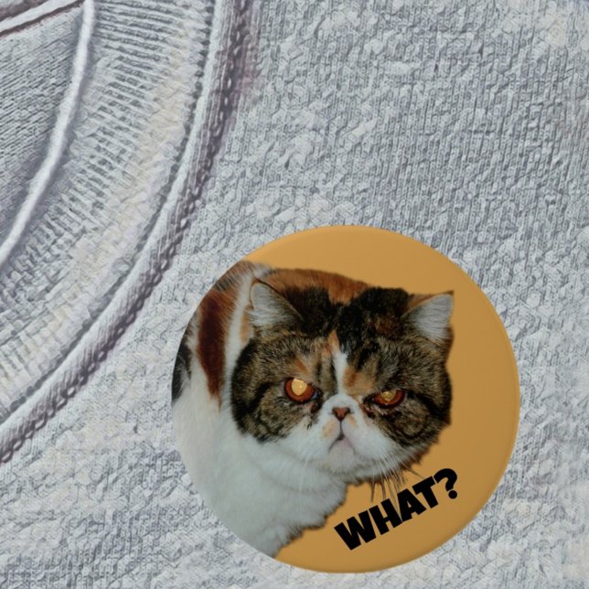 Grouchy Grumpy Cat What? Funny Photographic Button (Creator Uploaded)