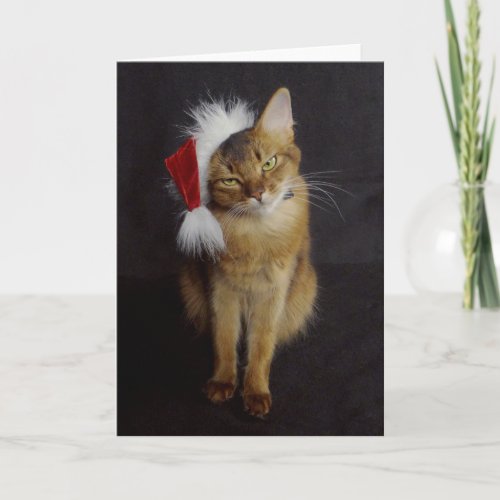 Grouchy Somali Cat in Santa Hat Christmas Holiday Card