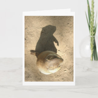 Ground Hog Day Card