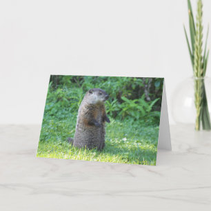 Ground Hog greeting card