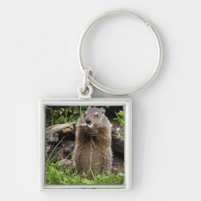 Ground Hog Munching on a Flower Keychain (Front)