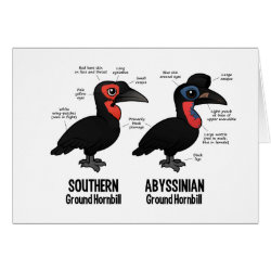 Compare Southern and Abyssinian Ground Hornbills Greeting Card