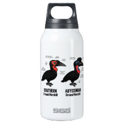 Compare Southern and Abyssinian Ground Hornbills SIGG Thermo Bottle (0.5L)
