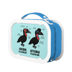 Compare Southern and Abyssinian Ground Hornbills Blue yubo Lunch Box