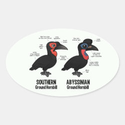 Compare Southern and Abyssinian Ground Hornbills Oval Sticker