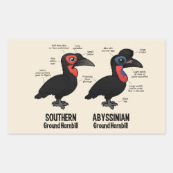 Compare Southern and Abyssinian Ground Hornbills Rectangle Sticker