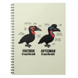 Compare Southern and Abyssinian Ground Hornbills Photo Notebook (6.5