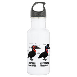 Compare Southern and Abyssinian Ground Hornbills Water Bottle (24 oz)