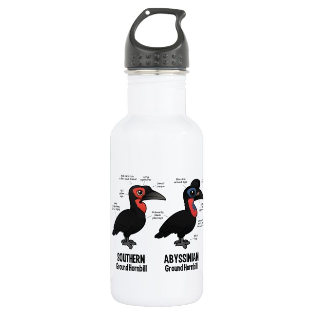 Ground Hornbil Statistics Stainless Steel Water Bottle (Front)