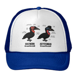 Compare Southern and Abyssinian Ground Hornbills Trucker Hat