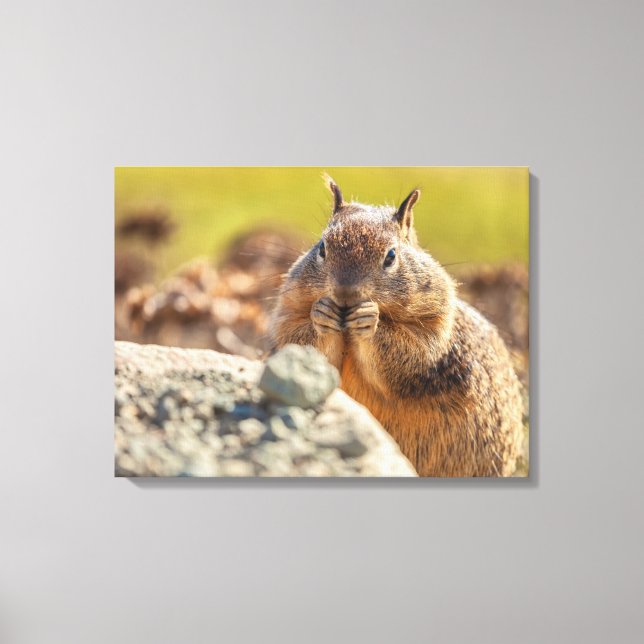 Ground Squirrel Canvas Print (Front)