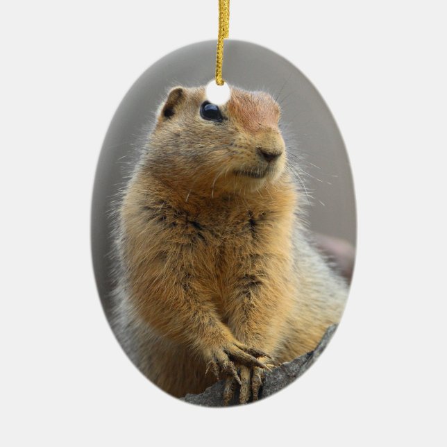 Ground Squirrel Ceramic Ornament (Front)