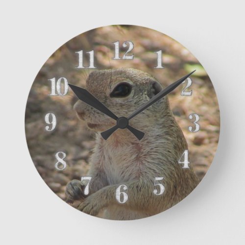 Ground Squirrel Cute Rodent Photo Desert Animal Round Clock