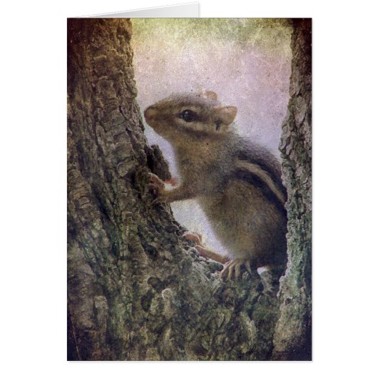 Ground Squirrel Grunge Cards (Front)