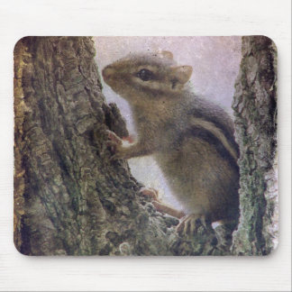 Ground Squirrel Grunge Mouse Pad