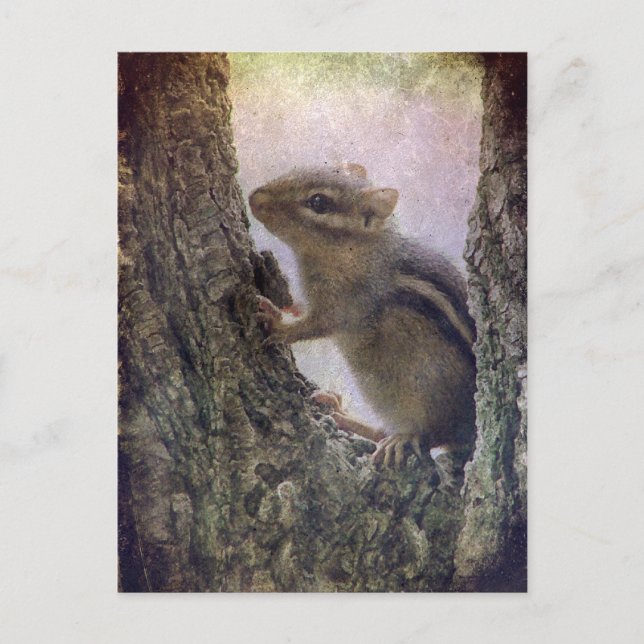 Ground Squirrel Grunge Postcard (Front)