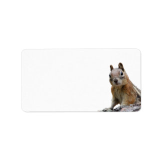 Ground Squirrel Label