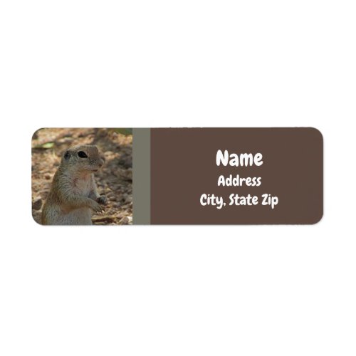 Ground Squirrel Standing Photo Desert Animal Label