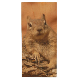 Ground Squirrel Wood USB Flash Drive