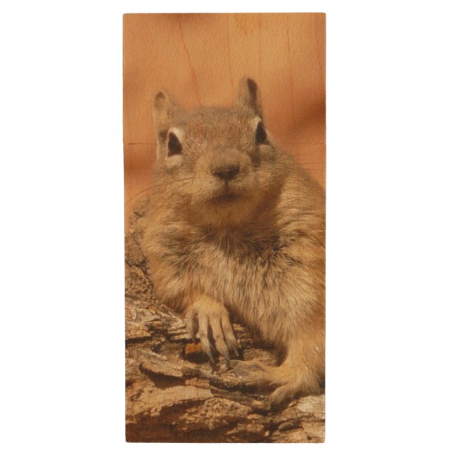 Ground Squirrel Wood USB Flash Drive (Front Vertical)