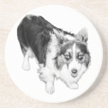 Grounded Gaze With Every Drink Coaster