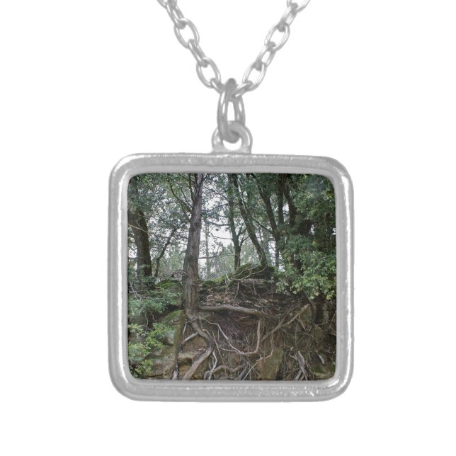 grounded silver plated necklace (Front)