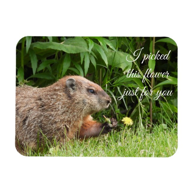 Groundhog aka Woodchuck with Flower Magnet (Horizontal)