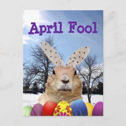 Groundhog April Fool Day Postcard