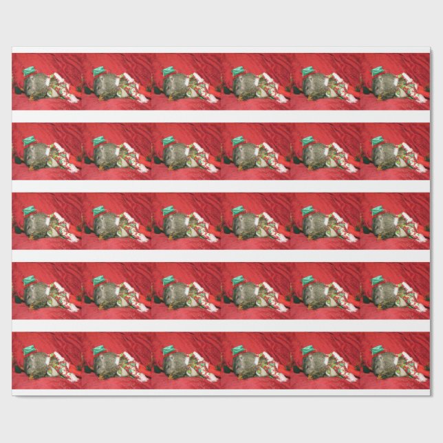 Groundhog Bessie and Red Squirrel Bluster Giftwrap Wrapping Paper (Flat)