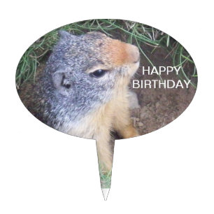 Groundhog Cake Topper