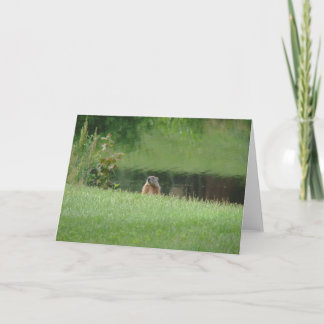 Groundhog Card