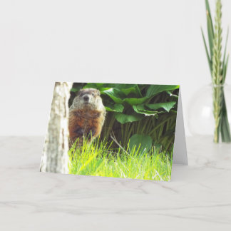 Groundhog Card