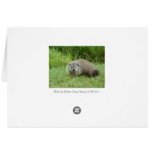 Groundhog Cards (Back Horizontal)
