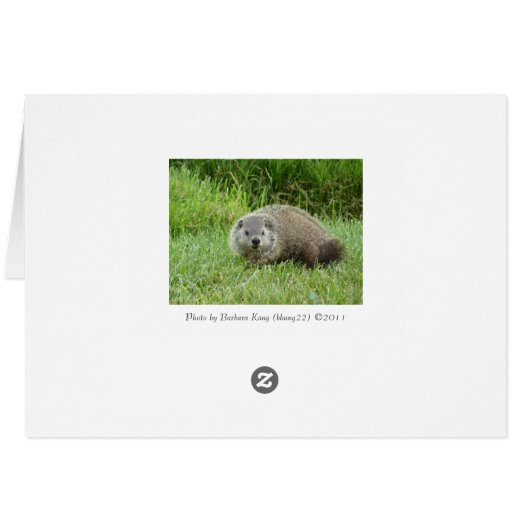 Groundhog Cards (Back Horizontal)