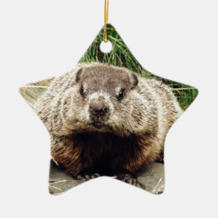 Groundhog Ceramic Ornament