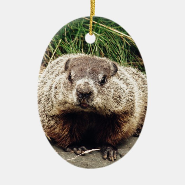 Groundhog Ceramic Ornament (Front)